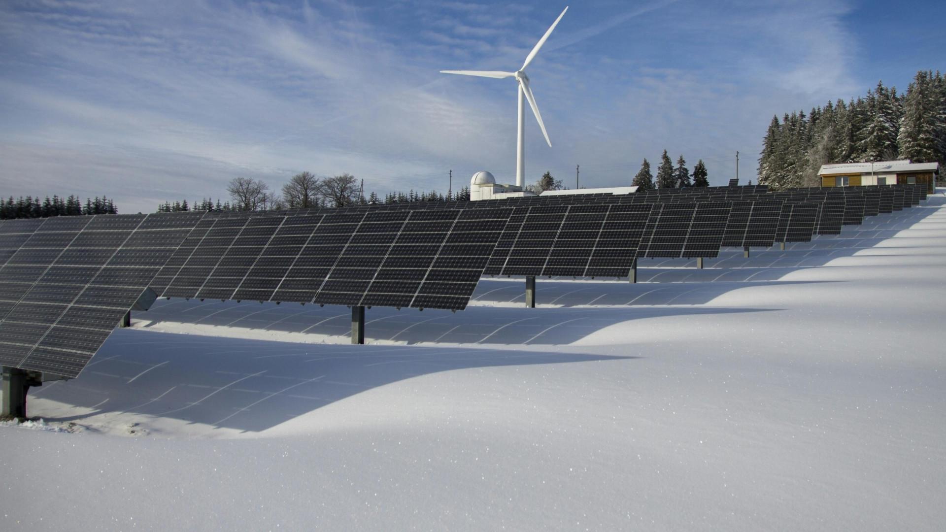 Pioneers Of Solar And Renewable Energy