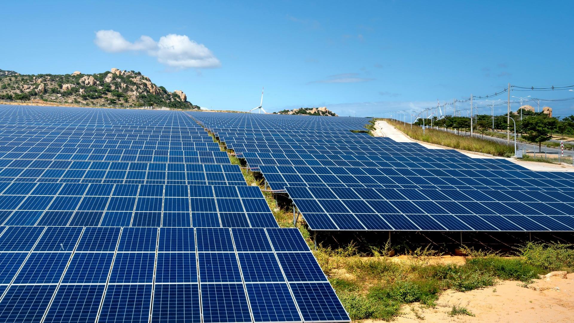 Pioneers Of Solar And Renewable Energy